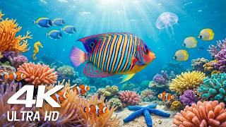 Crystal Ocean 8K - Beautiful Marine Life for Stress Relief | OCEAN WHISPER