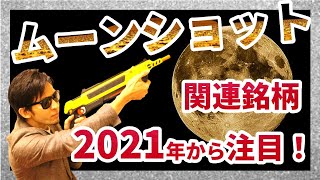 ムーンショット関連銘柄！ついに動き出す！？２０３０年から動き出すムーンショット関連株に今から注目！中長期的に注目される銘柄たち！