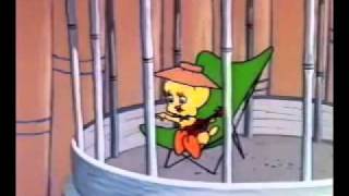 Hawaiian Aye Aye - Tweety Demo Clip