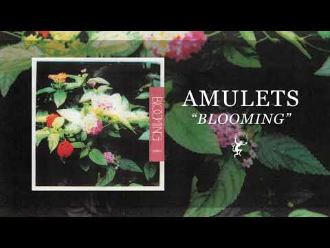 Amulets — Amulets - Empty Tribute