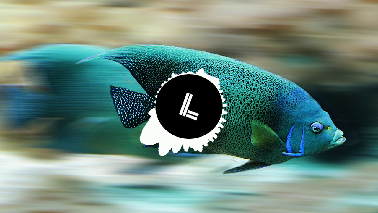 D3NK - Mr. Clean Instrumental (Bass Boosted)