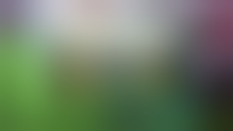 layer added every second x2