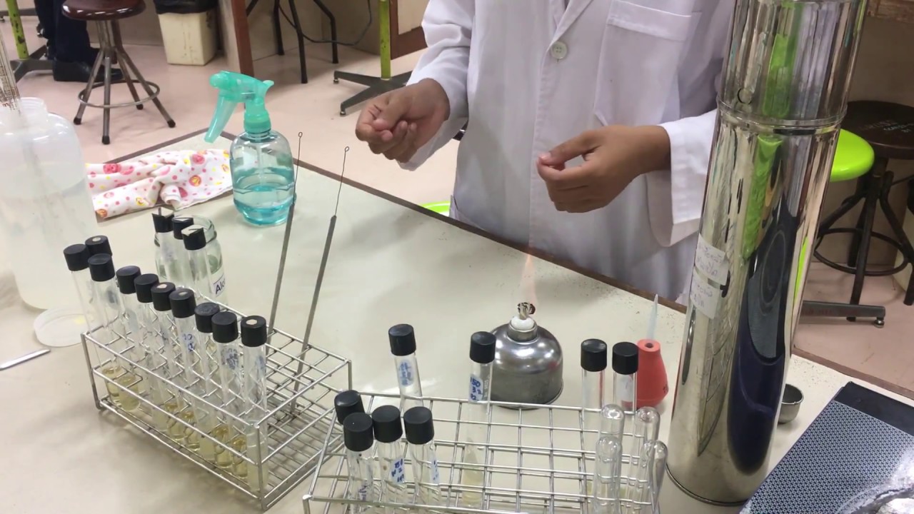 การถ่ายเชื้อจากอาหารเหลว