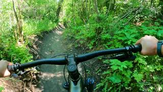 Buffalo Pound Mountain Biking "Roots" POV
