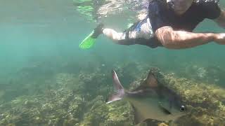 Christies Beach Snorkel