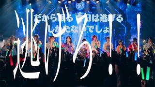 「逃げろ!!」ゆるめるモ！ with 歴代メンバー(けちょん、しふぉん、ようなぴ、もね、ゆいざらす、まつり)｜LIVE 2026.10.3
