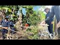 Reclaiming an Abandoned Pond: A Dangerous Job When Snakes Appear