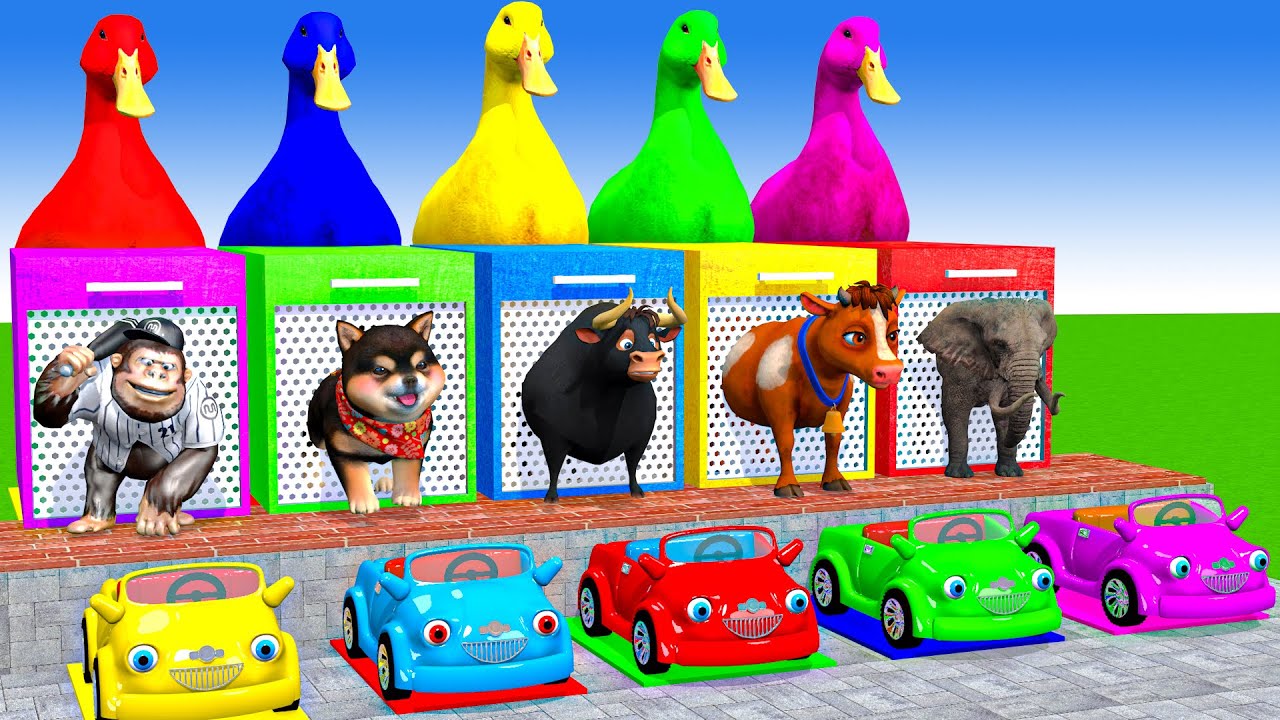 Long Slide Game With Cow Elephant Gorilla Hippopotamus Tiger 3d Animal Game Funny 3d Animals