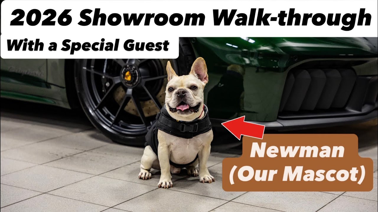 Первая экскурсия по выставочному залу Porsche Greenwich в 2026 году с Ньюманом (талисман и собака...