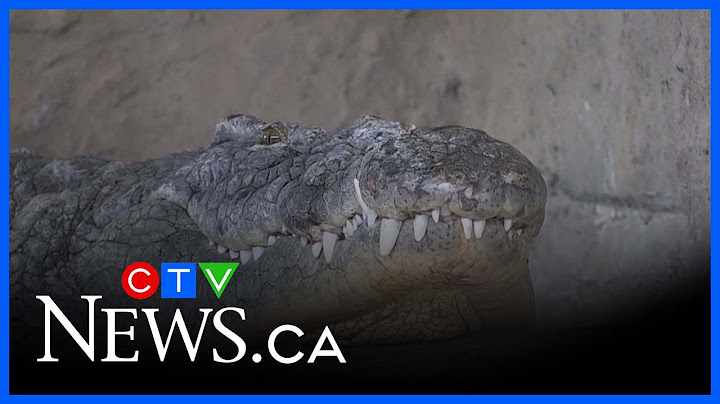Reptilia being sued by landlord