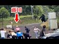 【ドッキリ】突然ゴリラが出てきたら…
