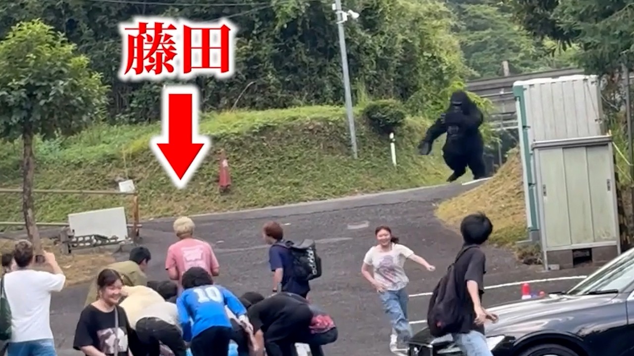 【ドッキリ】突然ゴリラが出てきたら…
