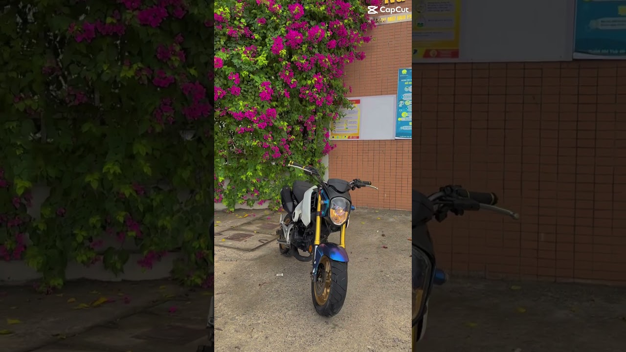 msx 125cc 2015 giá chỉ 22tr ae quan tâm call 0705081234