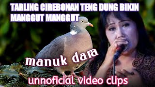 tarling teng dung Cirebonan manuk dara (unoficial video clips)
