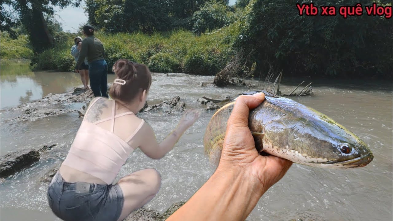 Nay DẪN GÁI ĐẸP VÀO RỪNG CHÍCH 😍 Cá lóc, tex máy trên sông cho anh em | XA QUÊ VLOG 