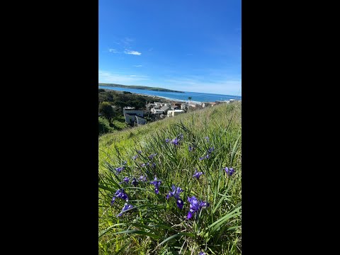 Video: Dillon Beach u Kaliforniji