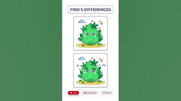Only Geniuses Find All 5 Differences!