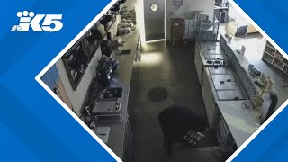 Frustration brewing after West Seattle coffee shop hit by burglars again