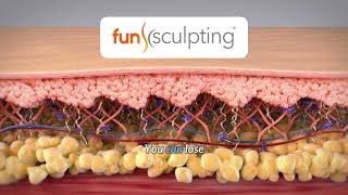 Funsculpting At Blue Wolf Transformations