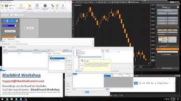 BlackBird - Using the Larger Stop-loss Distance of Either an ATR(55) or ATR(200)