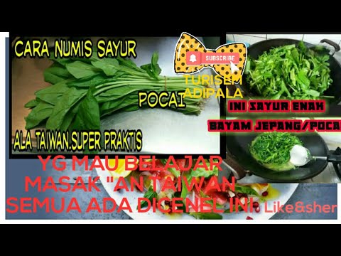 cara-numis-sayur-bayam-jepang-/sayur-pocai-taiwan