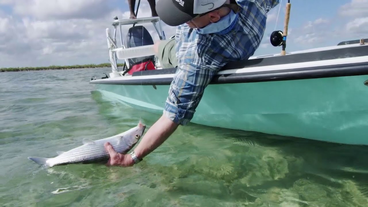 Bonefish on the Flats, Andros Island, The Bahamas YouTube