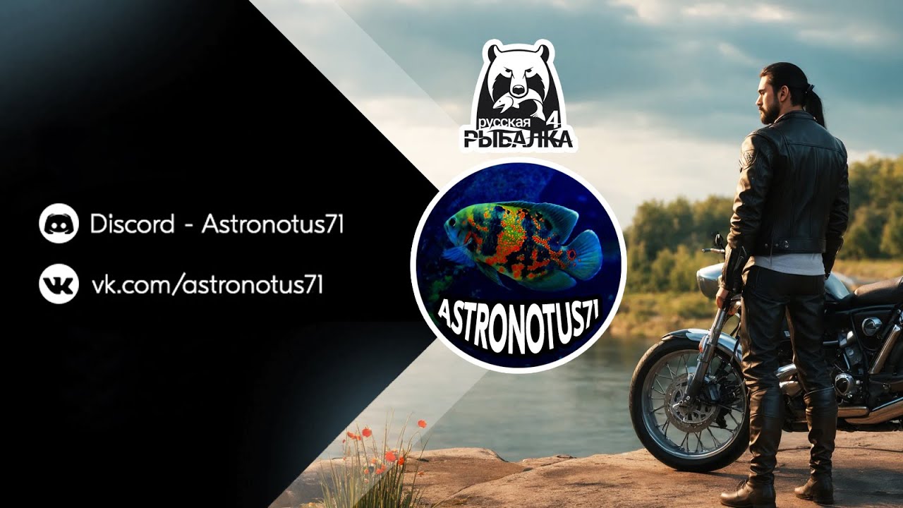 Неспешная рыбалка, общение с чатом