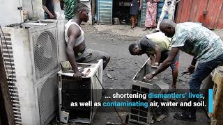 From Waste to Wealth: Harnessing the Circular Economy
