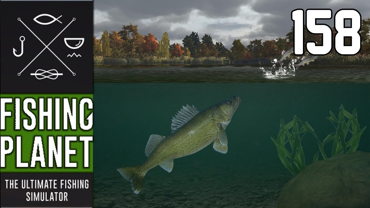 FISHING 158 Zander auf Pose Let's Play Fishing