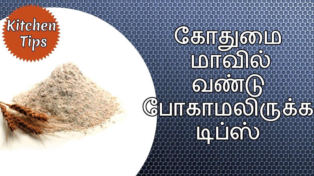 கோதுமை மாவில் வண்டு போகாமலிருக்க டிப்ஸ் - tamil kitchen tips / kitchen