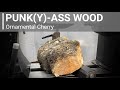 Woodturning - Rotted Trunk to Gorgeous Bowl