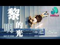 杨博然 黎明的光 在黎明之前 汇聚所有光点 你我照亮了整个世界 动态歌词 Pinyin Lyrics 二月新歌 AWALK MUSIC 杨博然 黎明的光 在黎明之前 汇聚所有光点 你我照亮了整个世界 动态歌词 Pinyin Lyrics 二月新歌 AWALK MUSIC