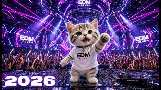 EDM Bass Boosted Music Mix 2026 🎧EDM Remixes of Popular Songs 🎧 EDM Music Mix 2026🎧🎧🎧