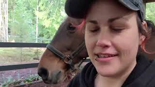 A Work Day in My Life | Barn Vlog | The Punk Equestrian