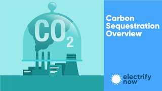 Celebrity Carbon Sequestration - An overview of carbon capture and storage solutions Net Worth