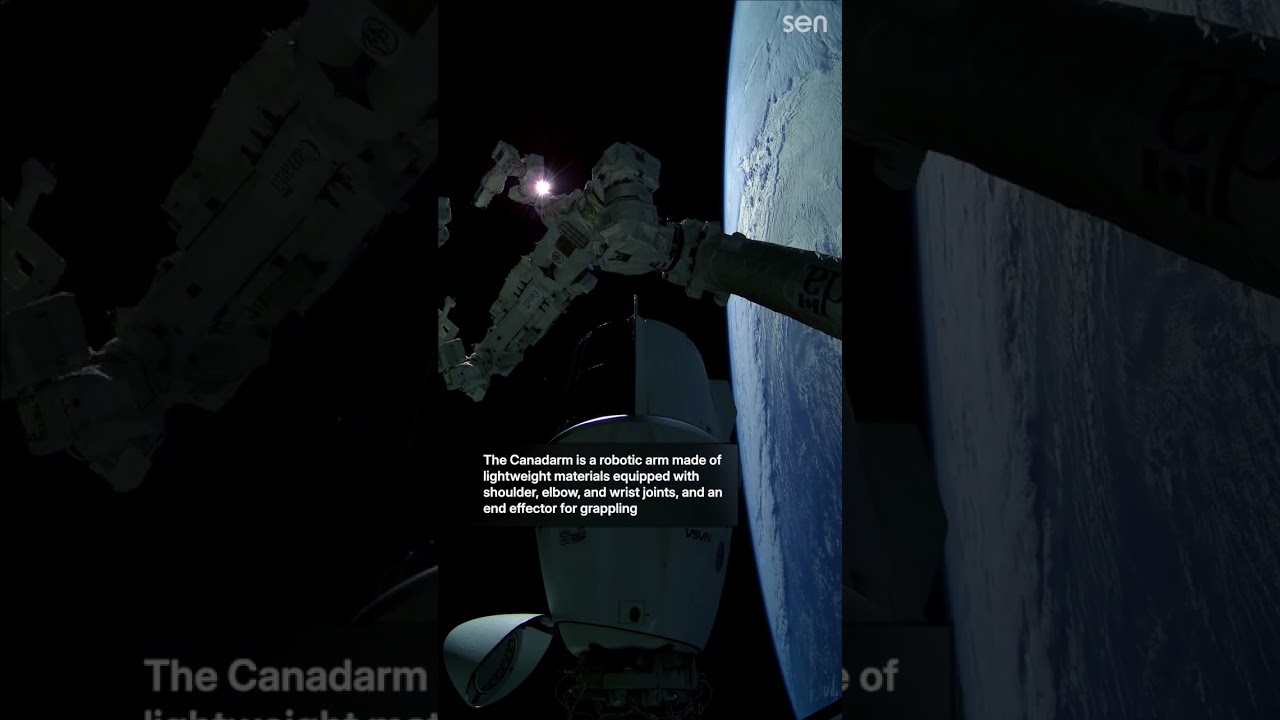 Sunrise from space behind Canadarm 🌅 