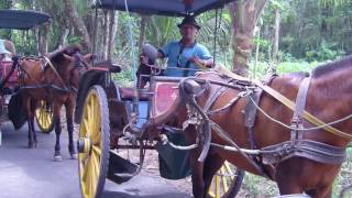 diavoorsteling Java en Bali deel 1a