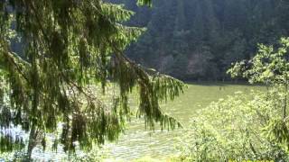 Nature Quest Classical Journey 4