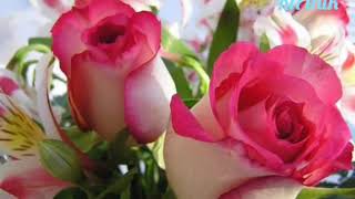 On the floor Ringtone/Nicely created/link⬇️