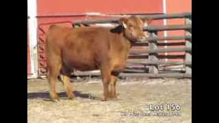 Lot 156