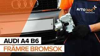 Hur och när byter man Bromsok bak höger AUDI A4 (8E2, B6): videohandledning