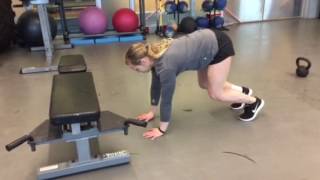 Bear Crawl plank bench up/downs