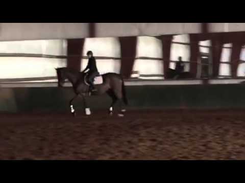 Guinny 3 - YouTube