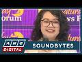 Co: Senate chaos to impact VP impeachment, unmasks Duterte allies not for accountability but power