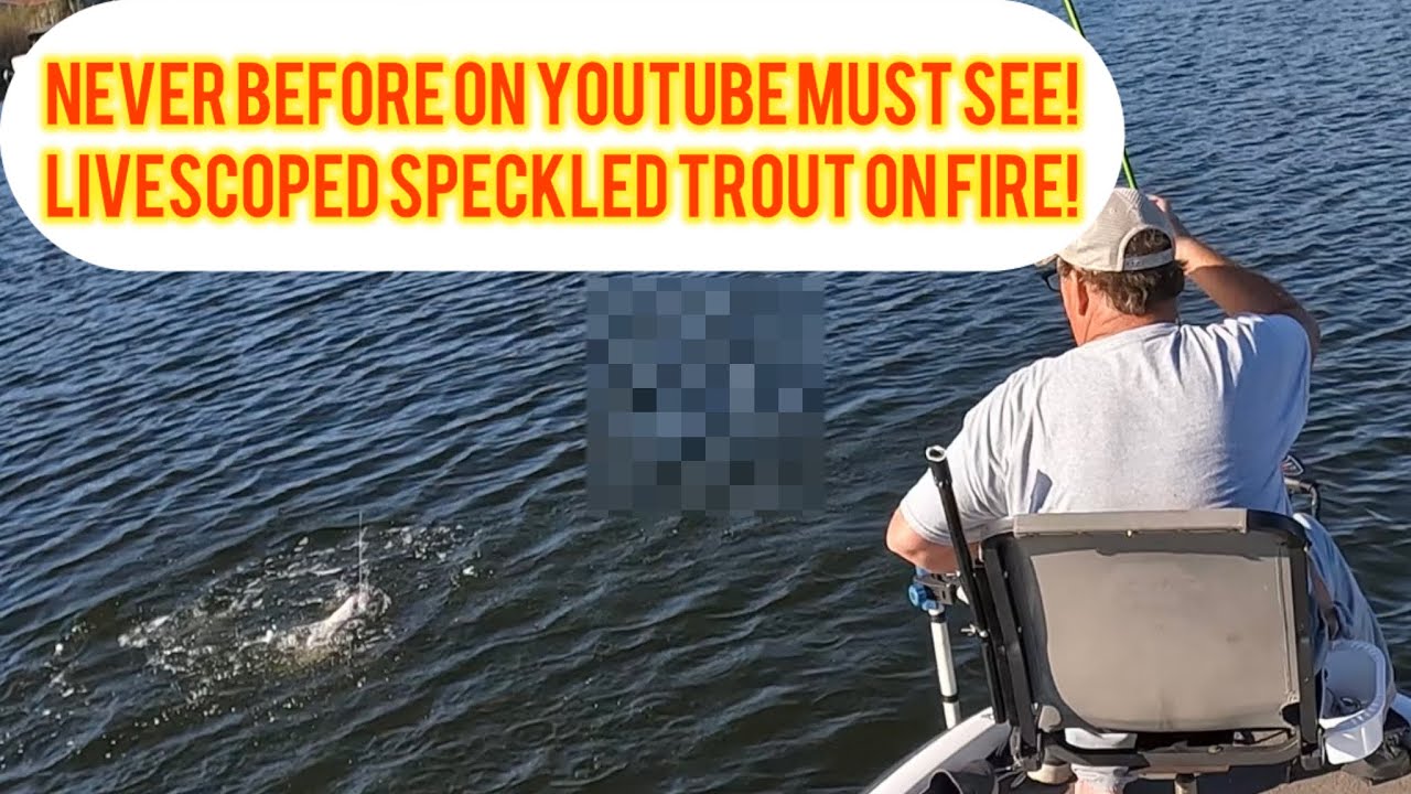 Never before on YouTube livescope speckled Trout!