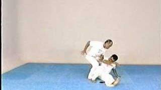 Advanced Capoeira. Mestre Paulao Ceara. 04