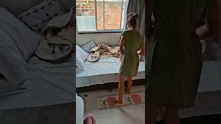 rotina de dona de casa| dia de limpeza geral na casa| faxina limpeza, organização, mini vlog.