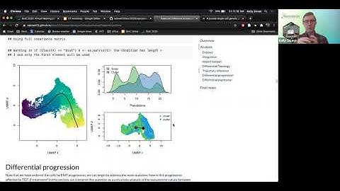 Kelly Street, Workshop 500: Trajectory inference across conditions: differential expression