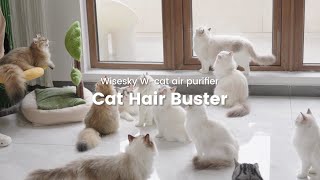 Wisesky W-Cat Air Purifier, Cat Hair Buster