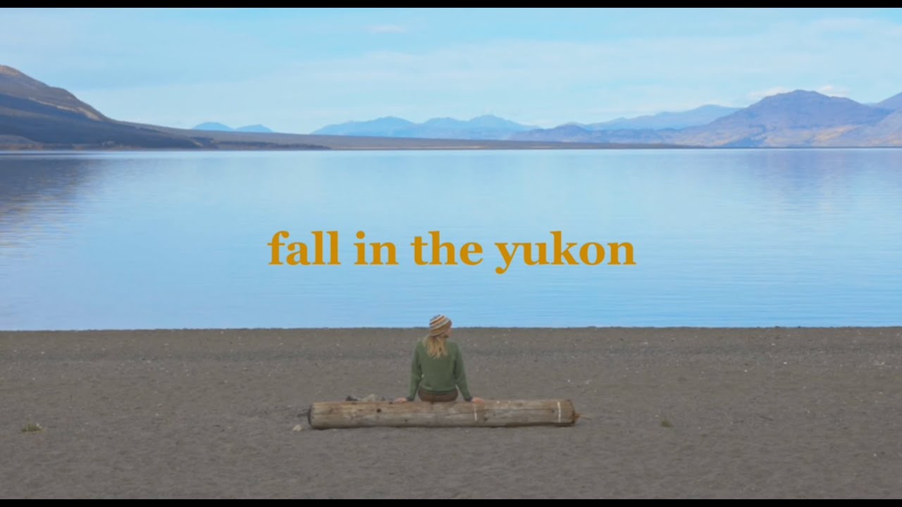 fall in the yukon | wildlife, colours & cosy moments